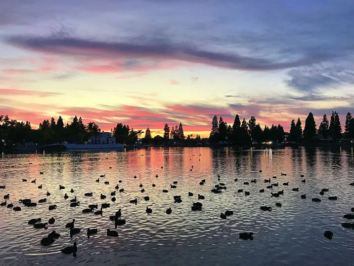 view of riverside ca An aerial view of Riverside in California
