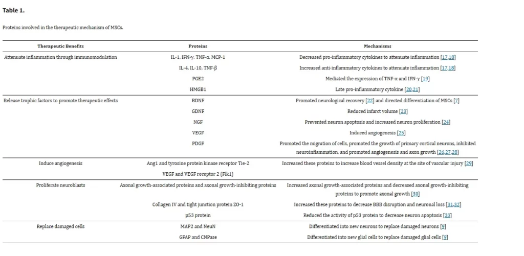 Clinical table displaying therapeutic mechanisms of mesenchymal stem cells (MSCs), detailing proteins responsible for inflammation reduction, angiogenesis, neuroblast proliferation, and tissue repair.
