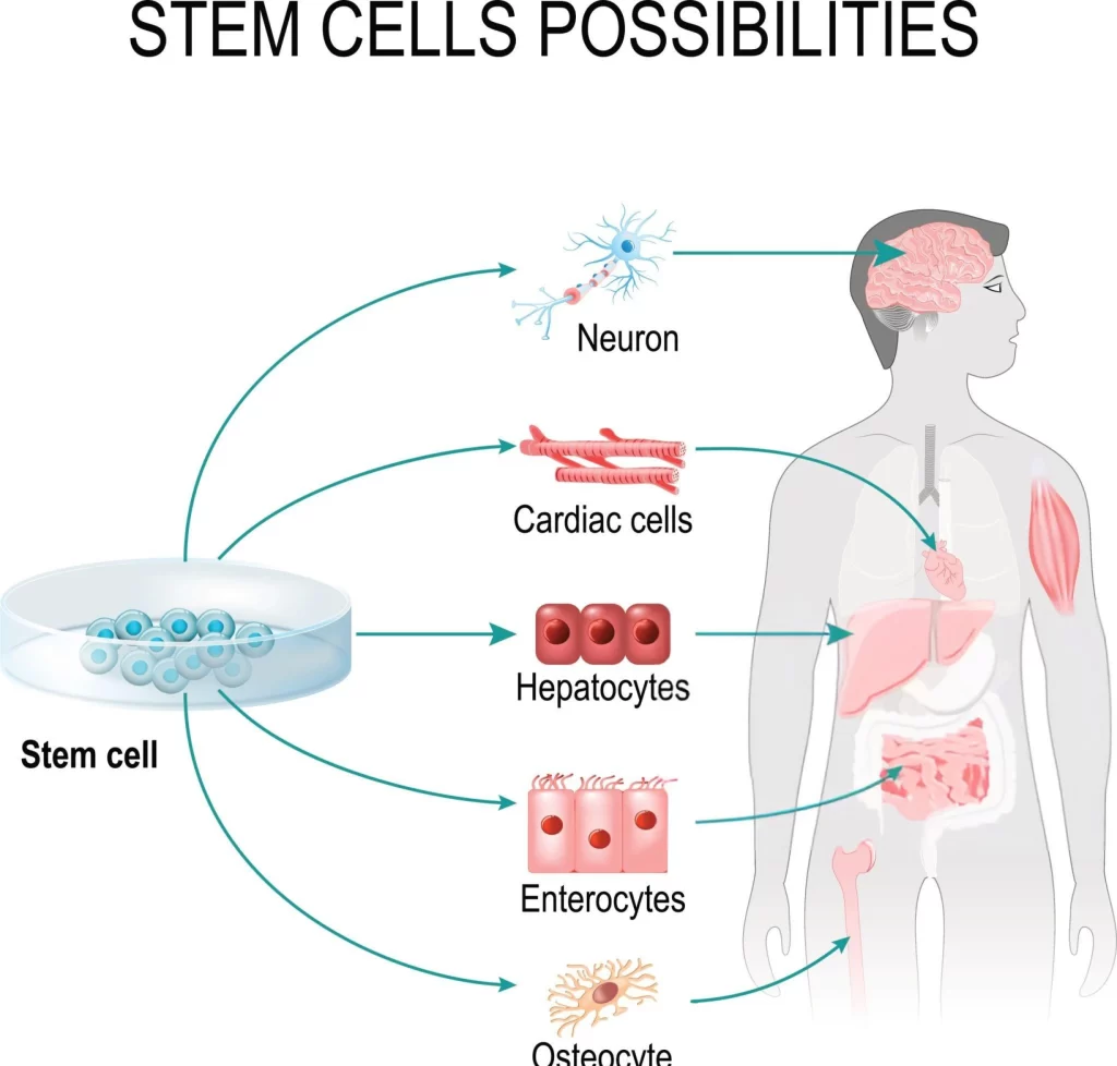 Smiling nurse holding hands with elderly patient in a cozy setting—illustrating the compassionate, step-by-step care process at R3 Stem Cell’s Richmond clinic